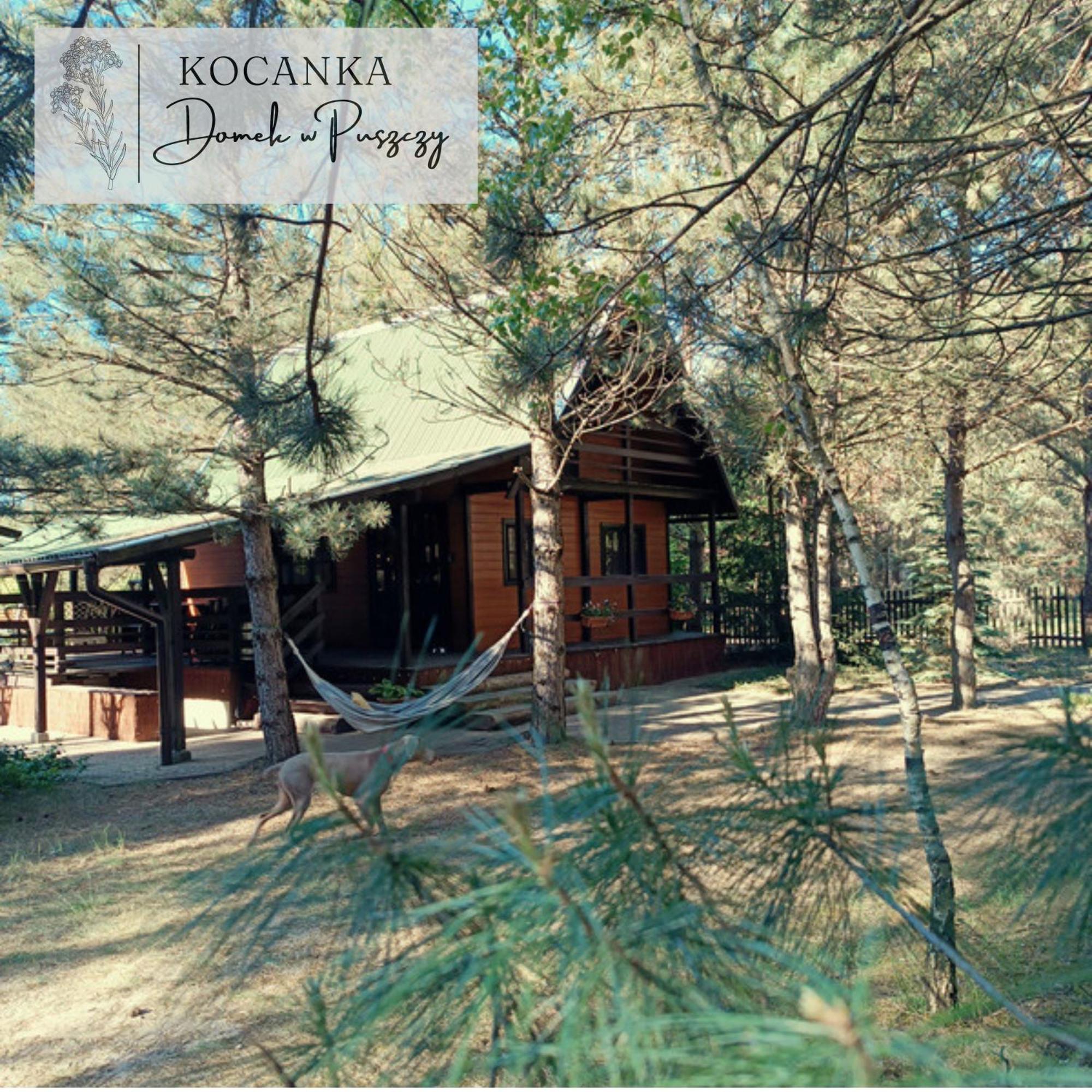 Mezyk Domek W Puszczy ,,Kocanka" מראה חיצוני תמונה
